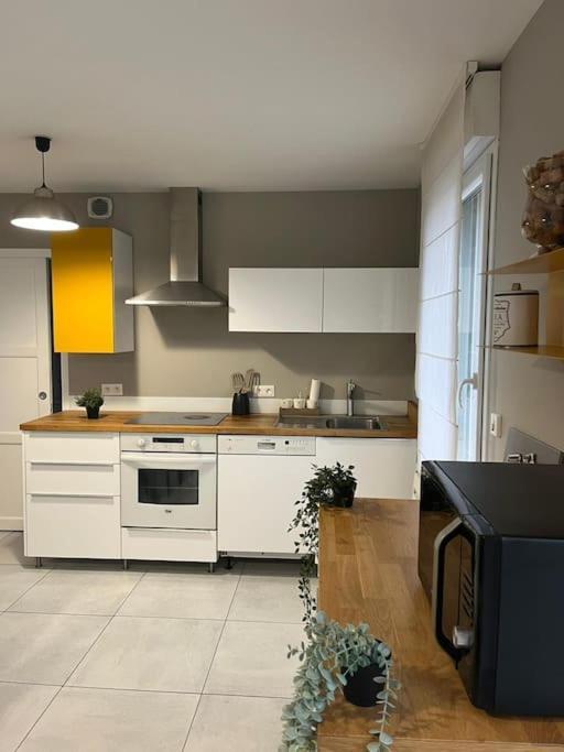La Maison Du Bonheur 70 M² Saint-Amand-les-Eaux Exteriér fotografie